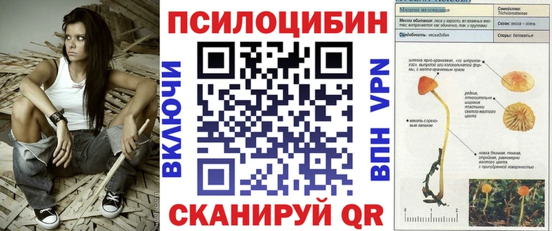 Галлюциногенные грибы мицелий  Купить где  Карталы 